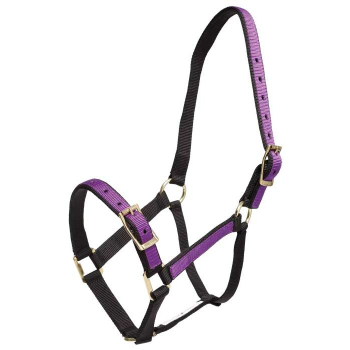 Zilco Overlay Halter - 3