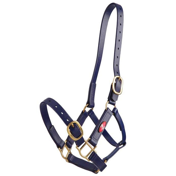 Zilco PN Headstall - 3