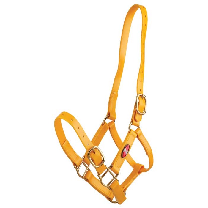 Zilco PN Headstall - 4
