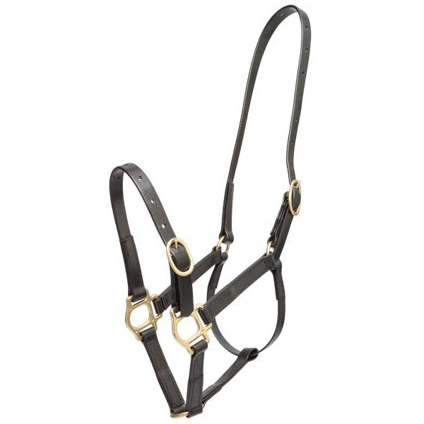 Zilco PN Headstall