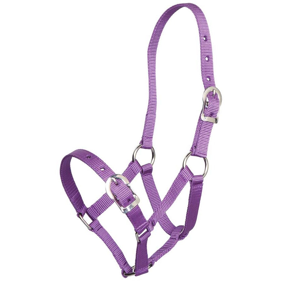 Zilco Small Pony Halter - 2