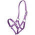 Zilco Small Pony Halter - 2