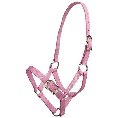 Zilco Small Pony Halter - 4