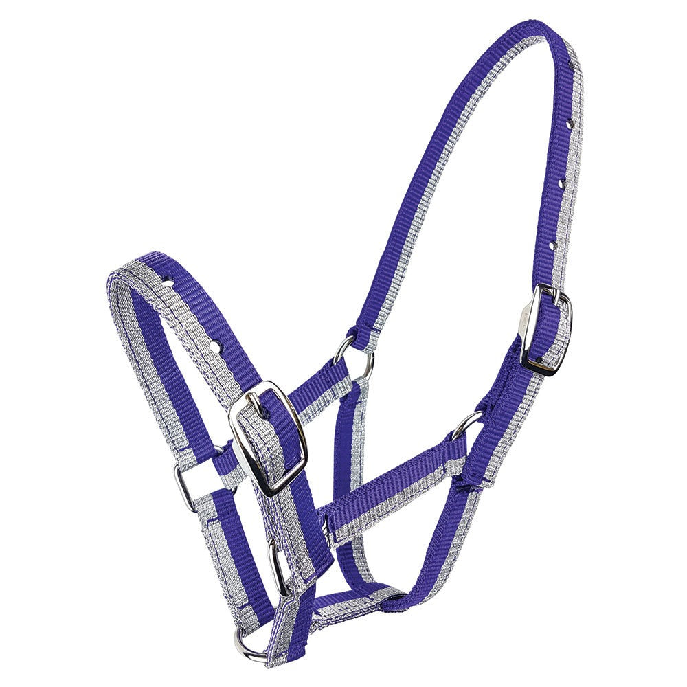 Zilco Sparkle Foal Halter - 4