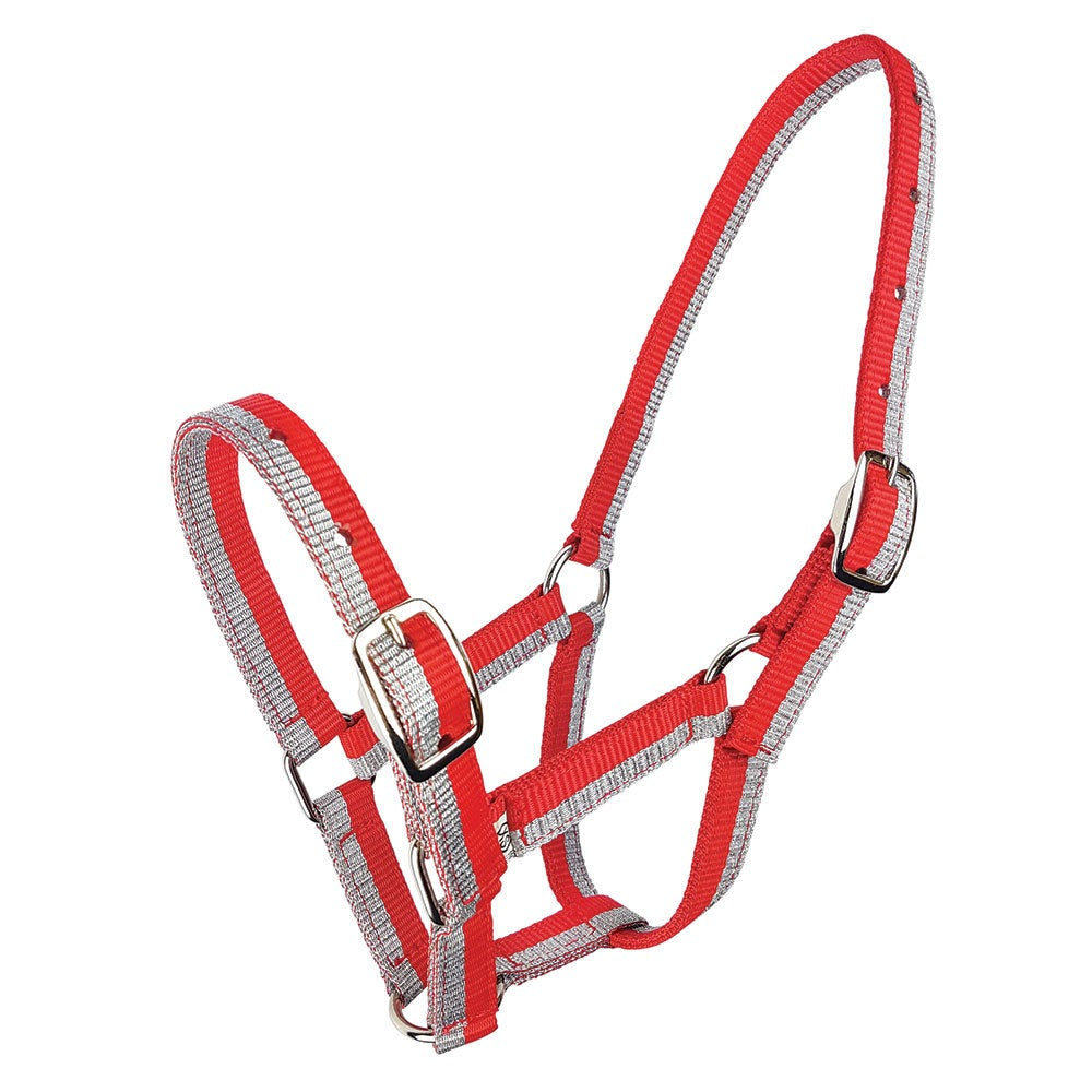 Zilco Sparkle Foal Halter - 5