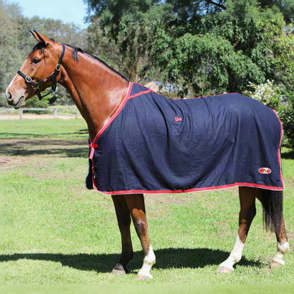 Zilco Stadium Wool Rug