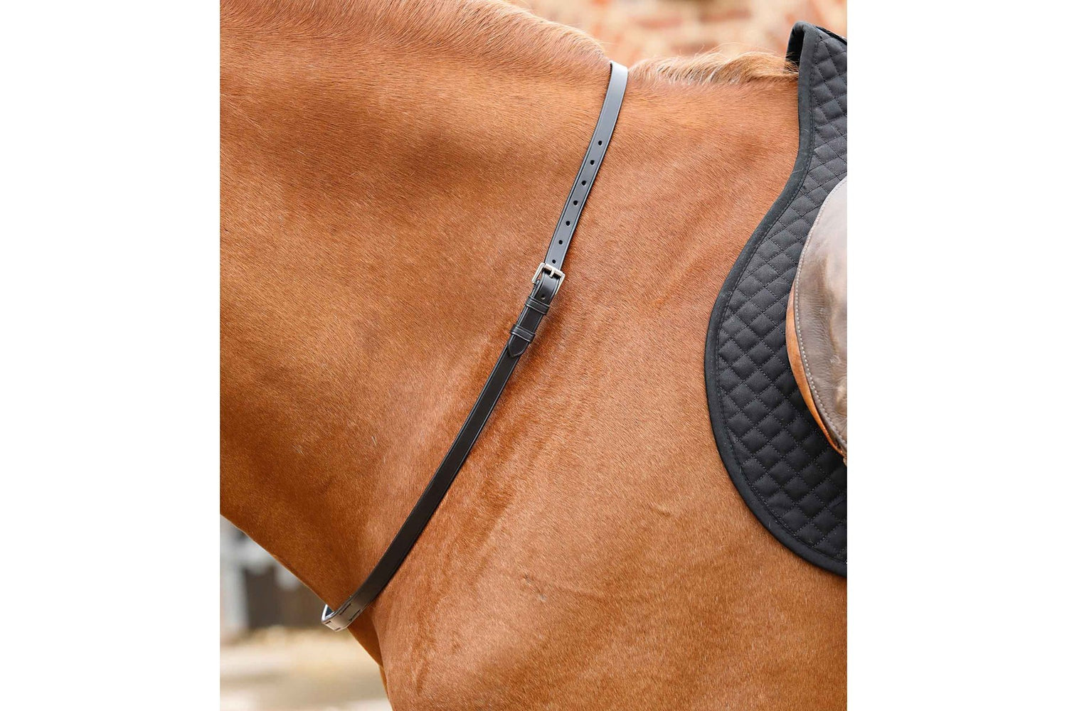 Description:Altino Horse Neck Strap_Colour:Black_Position:1