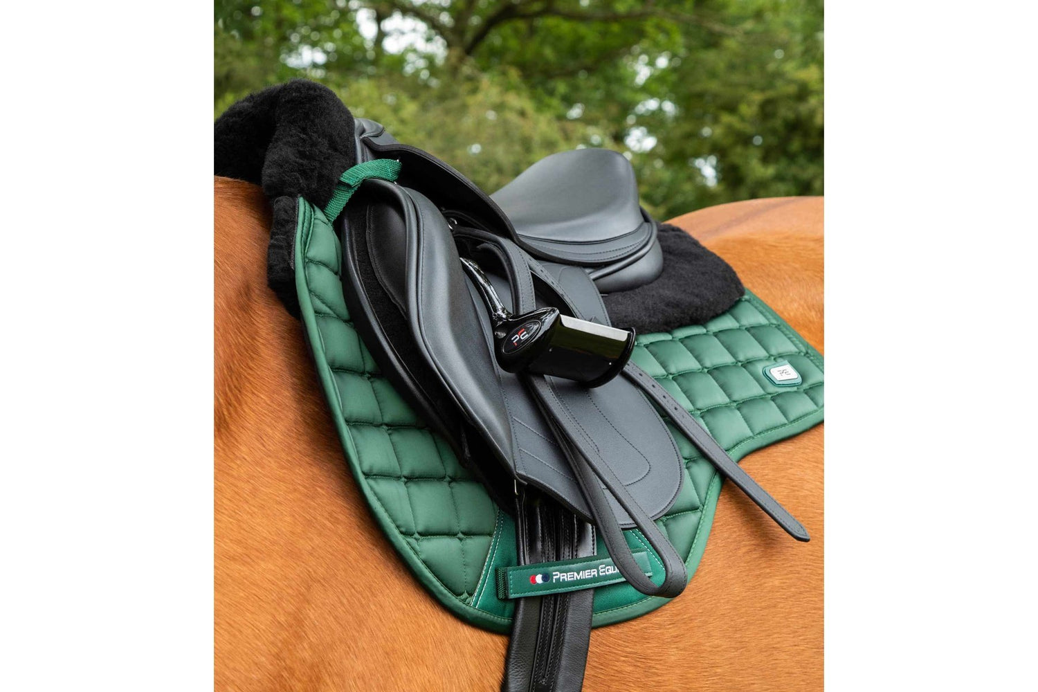 Premier Equine Atlantis CC Satin Wool GP/Jump Square