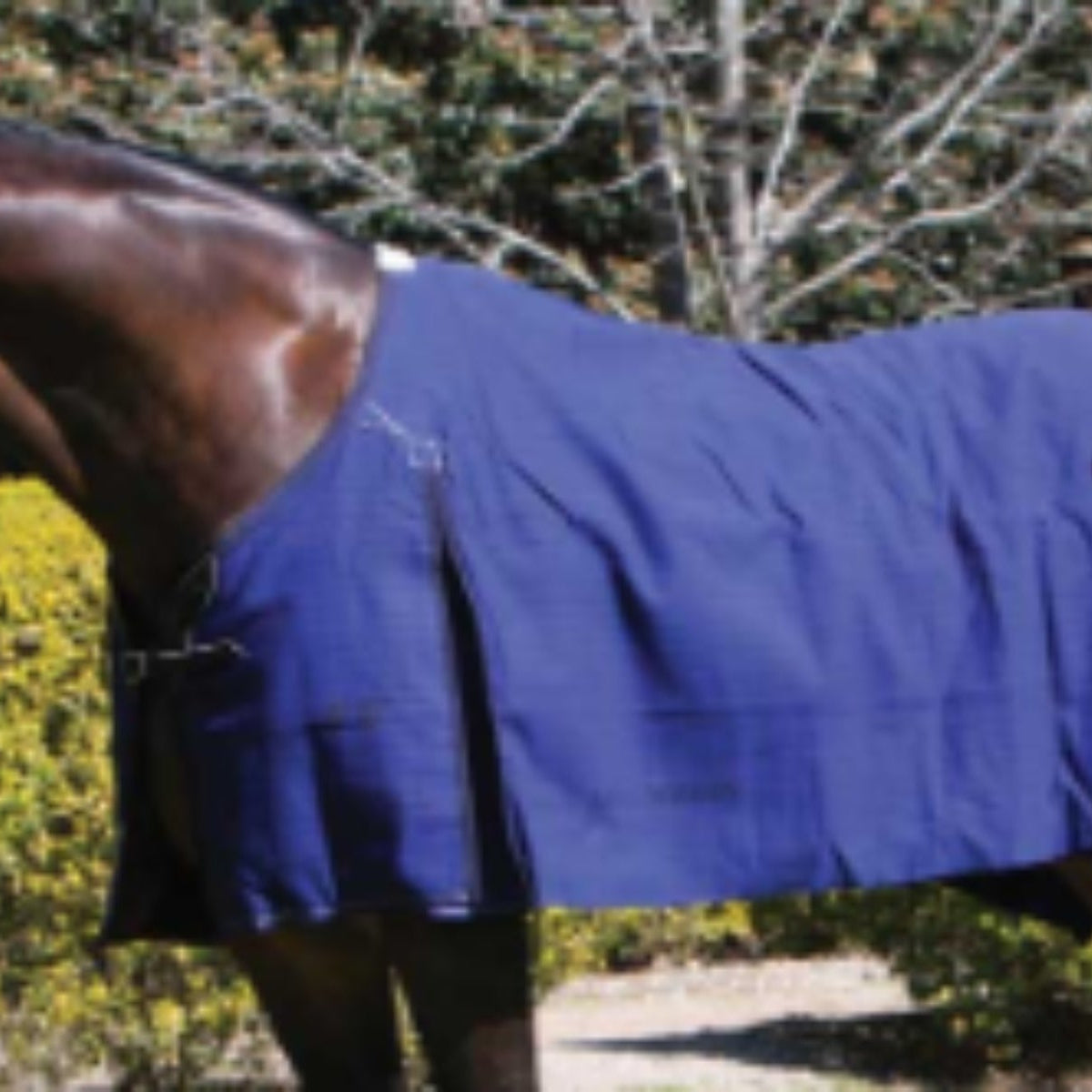 Tack Rug Blue Mountain Rug – NZ Tack Saddlery Co