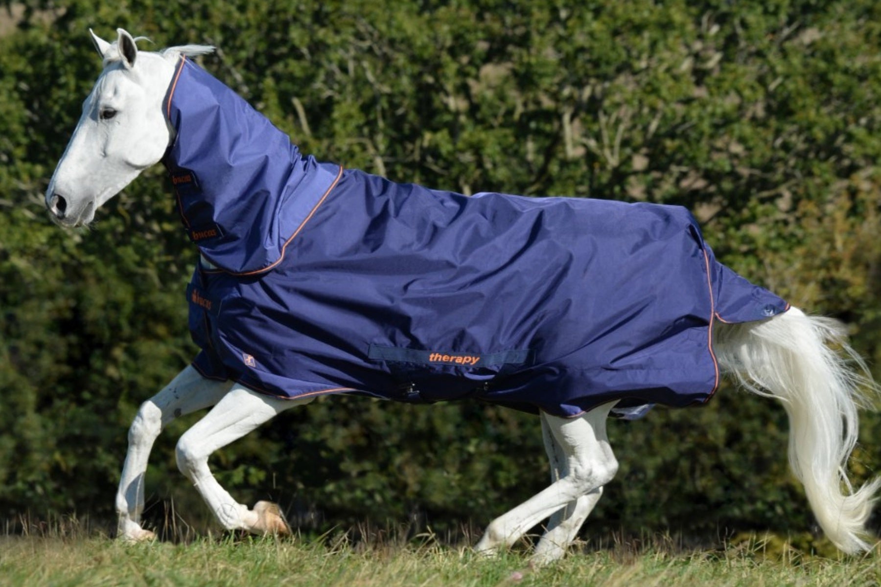 Bucas Therapy Turnout Rug