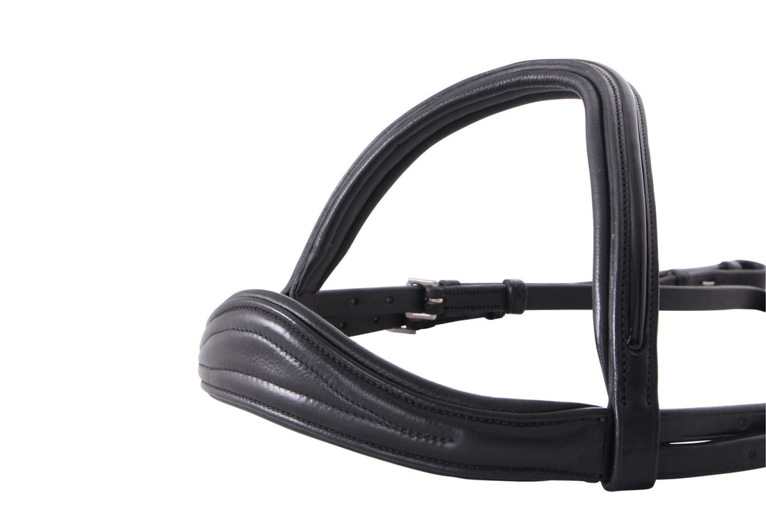 Cavallino Anatomical Raised Padded Bridle