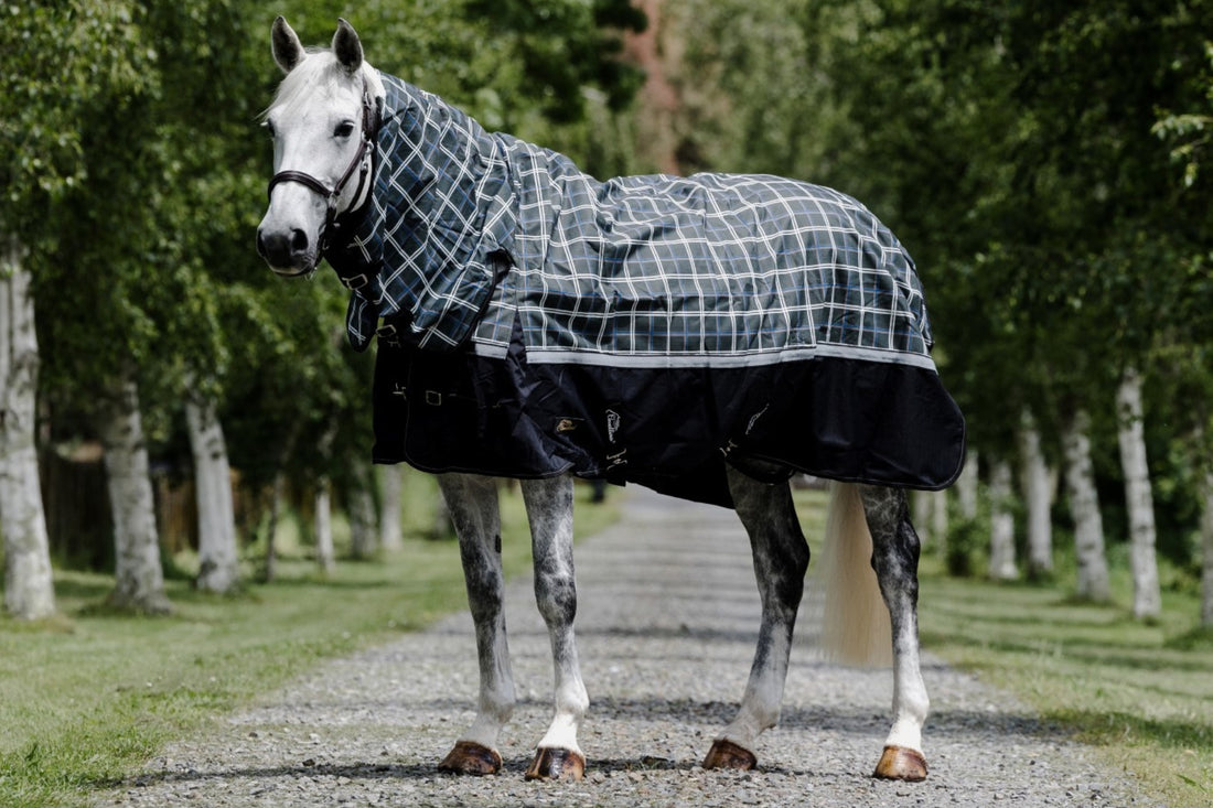 Cavallino Badminton 1200d Combo