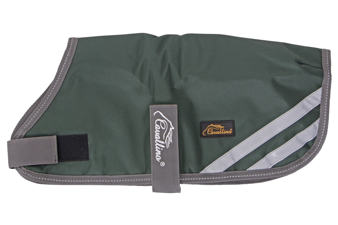 Cavallino Burghley Dog Coat