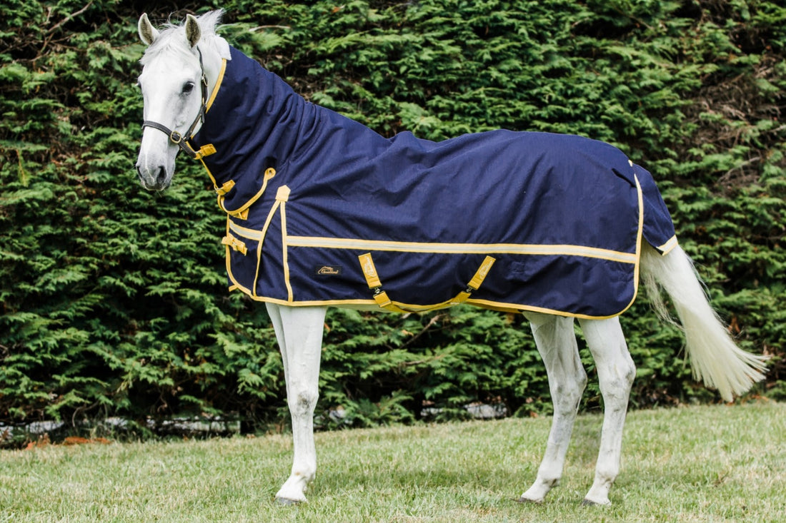 Cavallino Northampton Combo 1200D Navy
