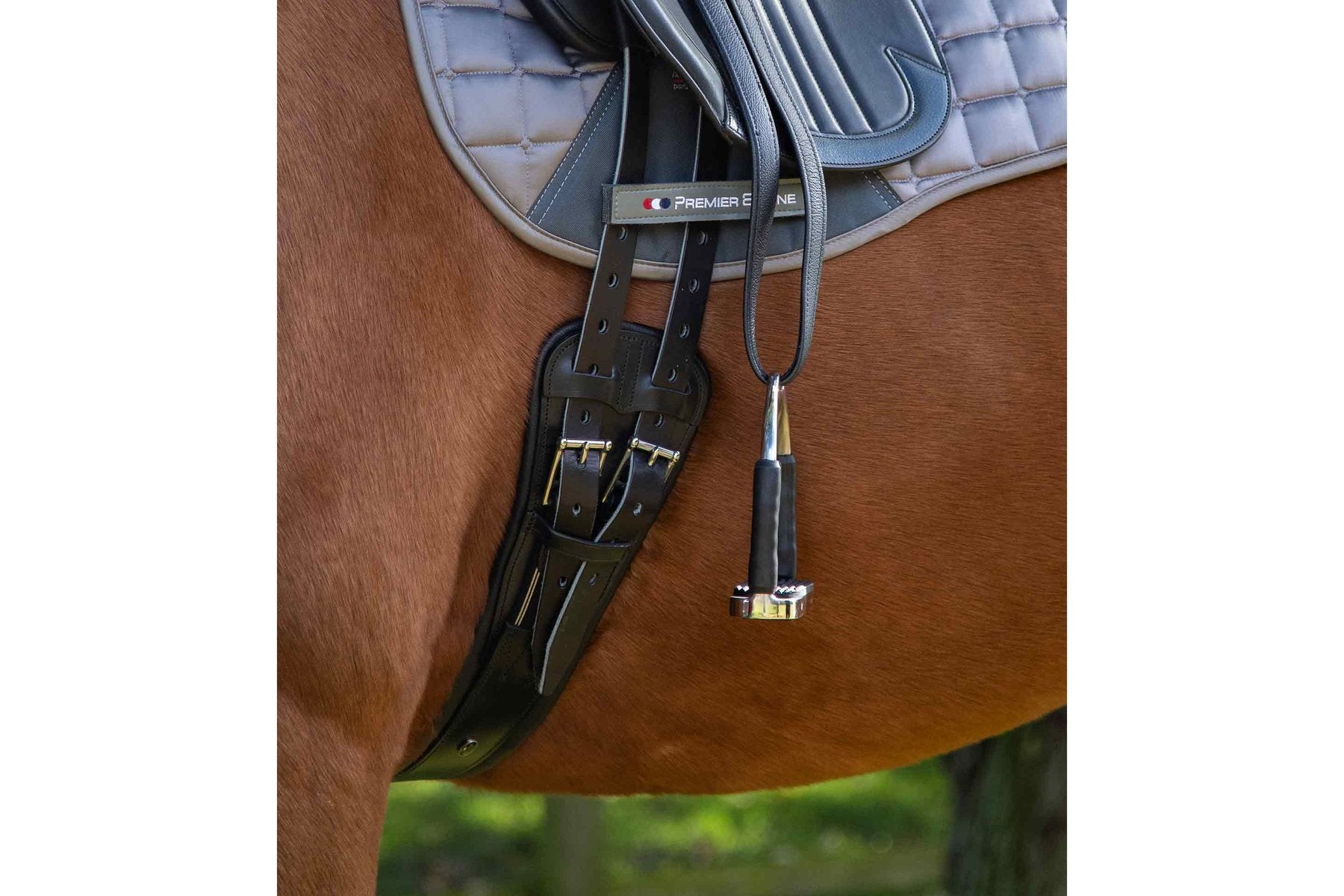 Premier Equine Davoli Leather Girth