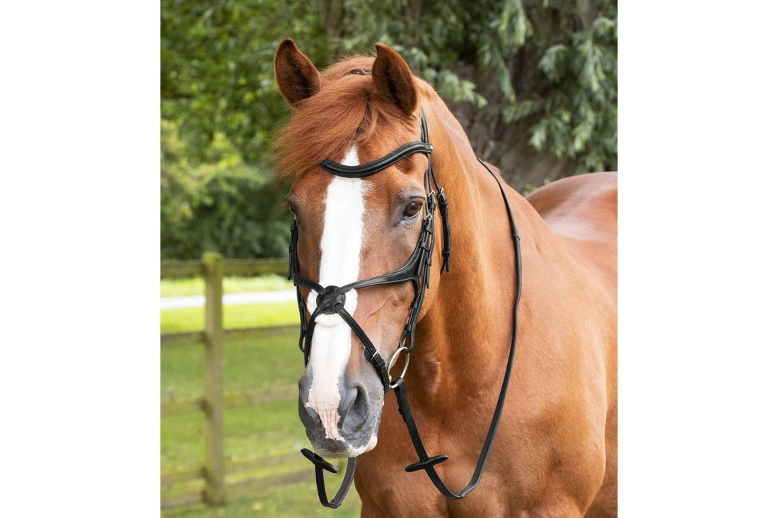 Premier Equine Diego Rubber Reins