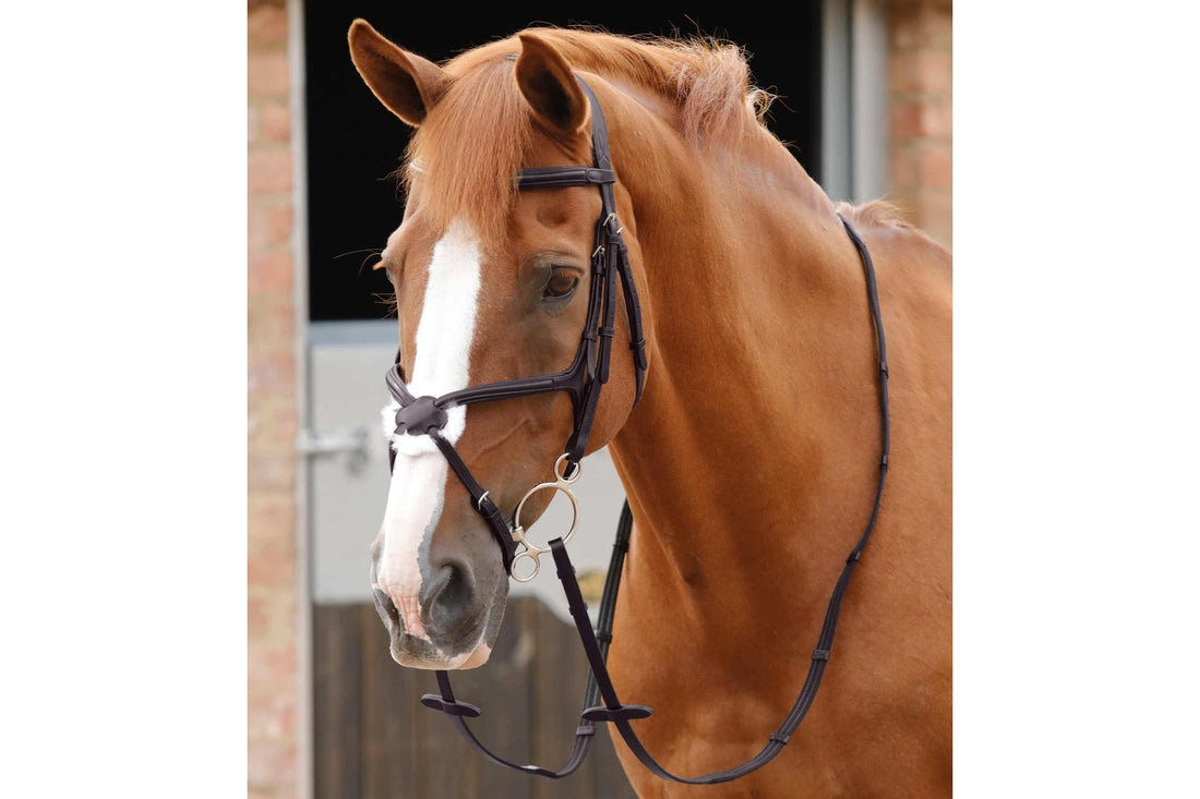 Premier Equine Domenico Web &amp; Rubber Grip Reins