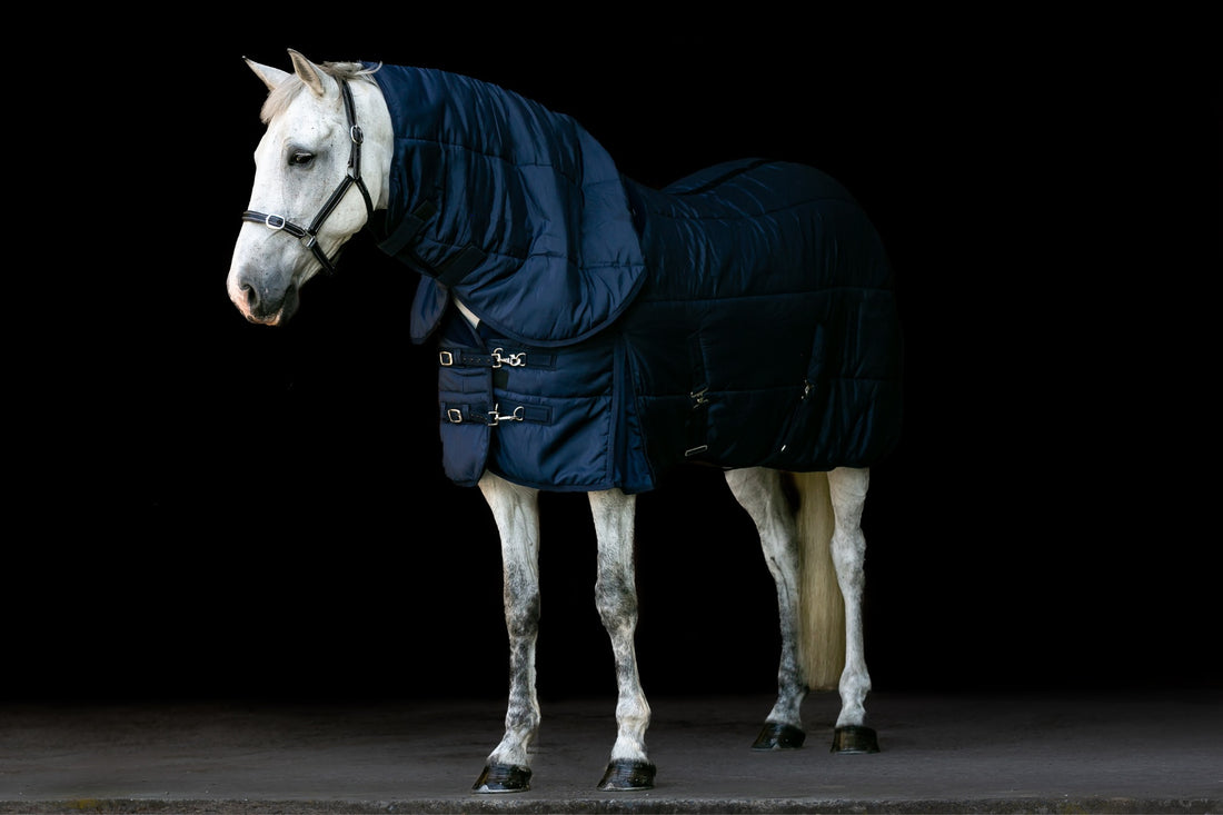 Elite Stable Rug 200g Detach-a-Neck