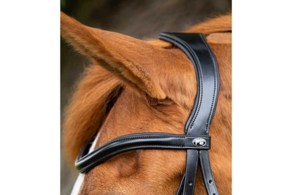 Premier Equine Glorioso Grackle Bridle