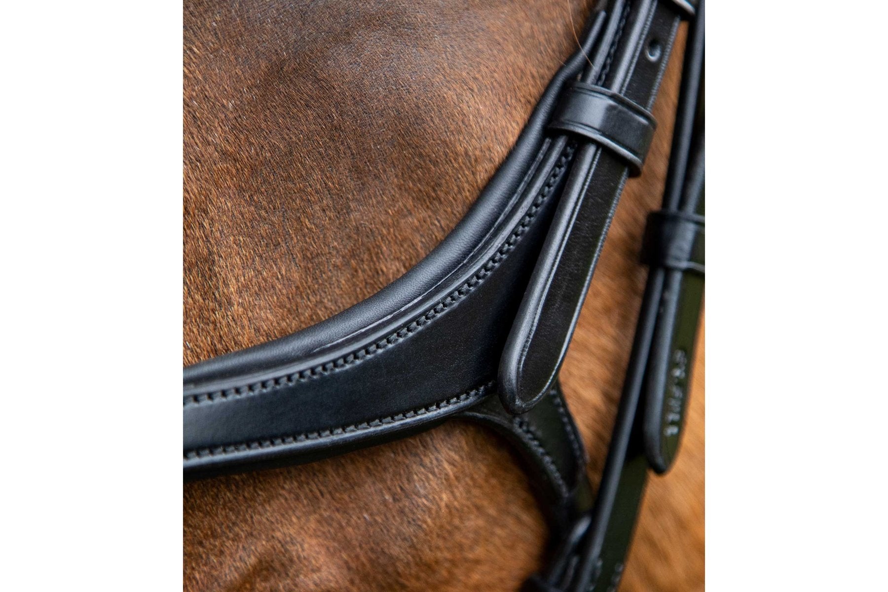 Premier Equine Glorioso Grackle Bridle