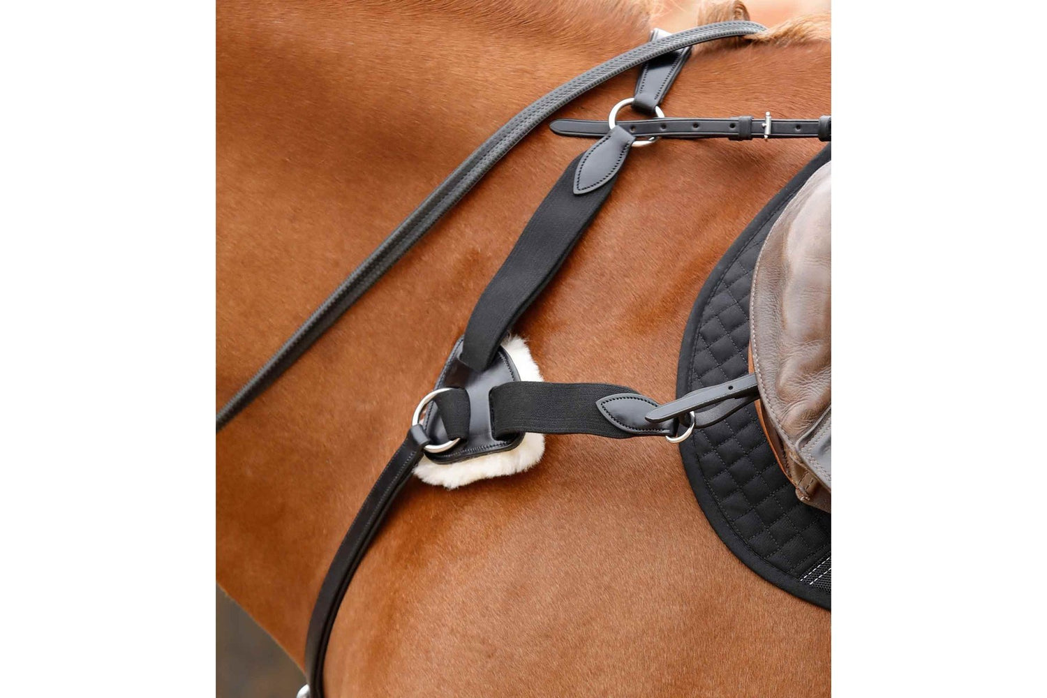 Premier Equine Invorio 5 Point Breastplate