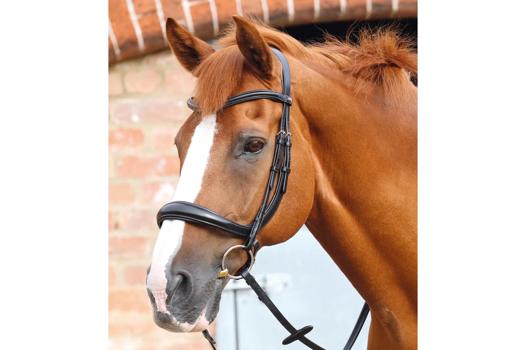 Description:Lambro Anatomic Bridle with Crank Noseband_Colour:Black_Position:1