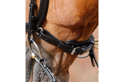 Premier Equine Lambro Anatomic Bridle with Crank Noseband