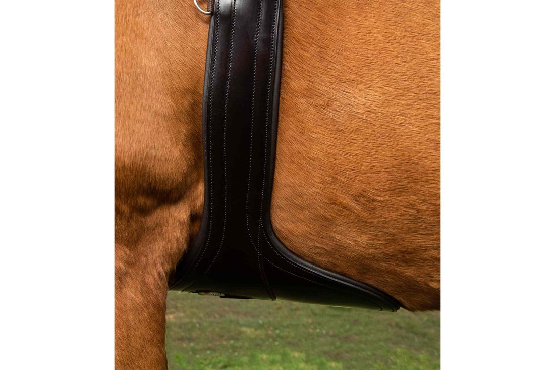 Premier Equine Lizzano Anatomic Leather Stud Girth