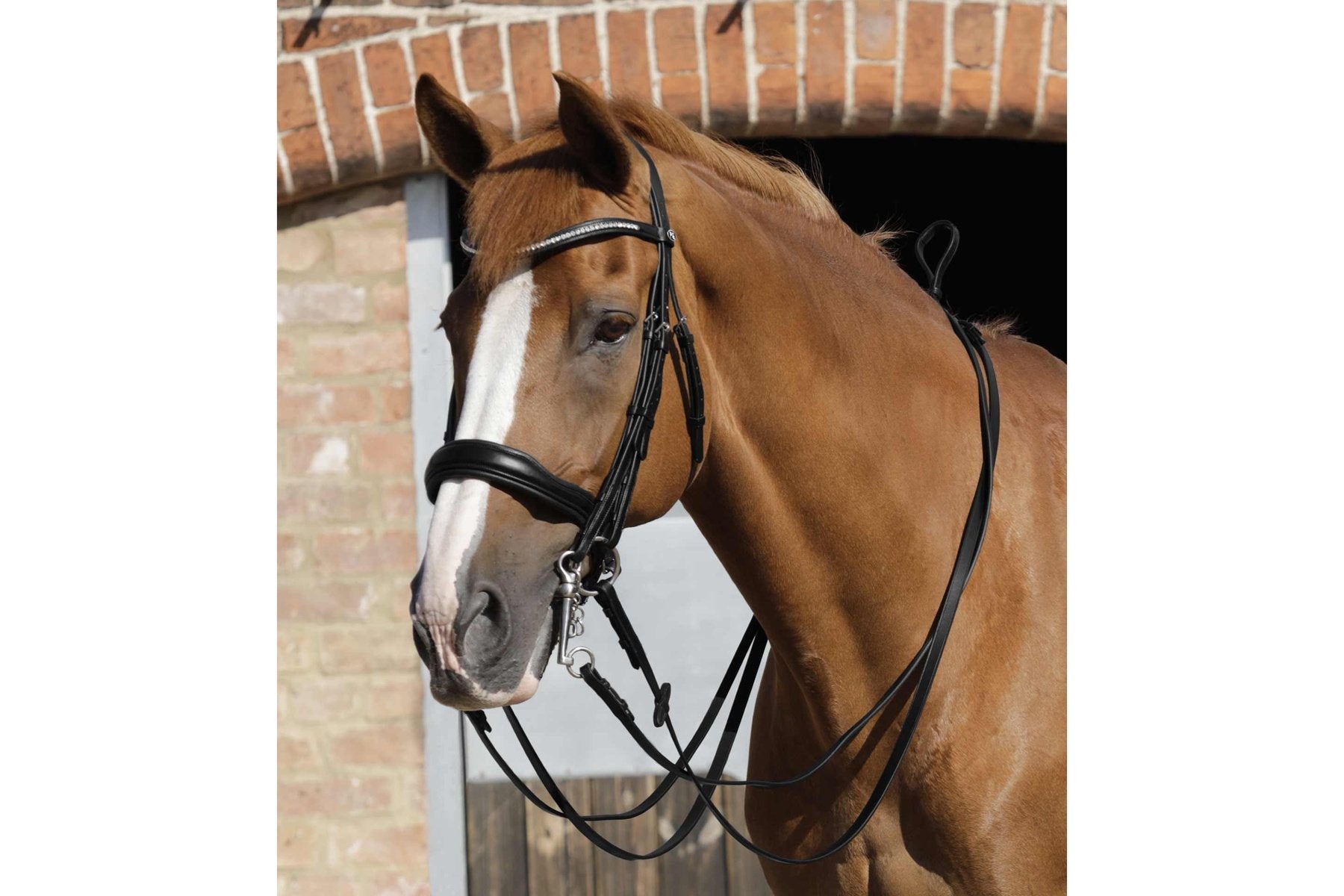 Premier Equine Luigi Plain Leather Reins