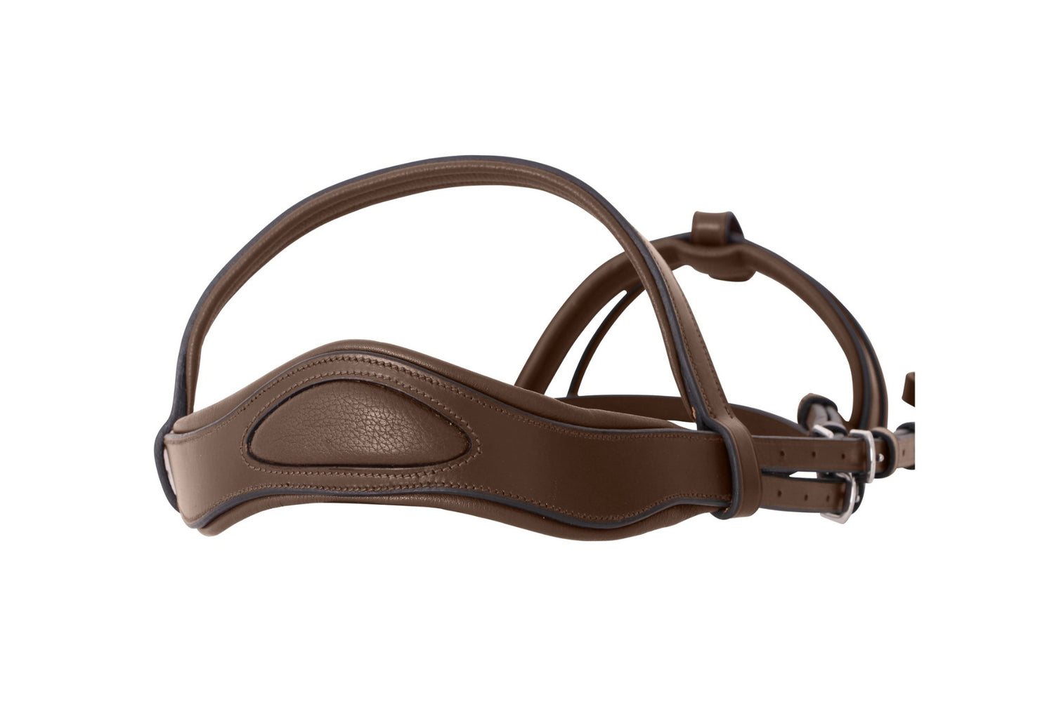 Platinum Signature Classic Bridle