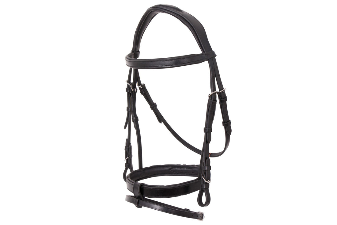 Platinum Signature Classic Bridle