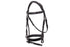 Platinum Signature Classic Bridle