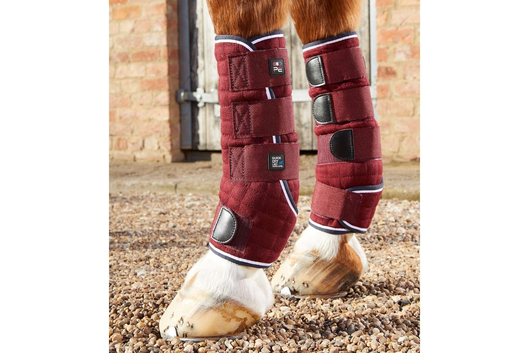 Premier equine quick dry leg wraps best sale