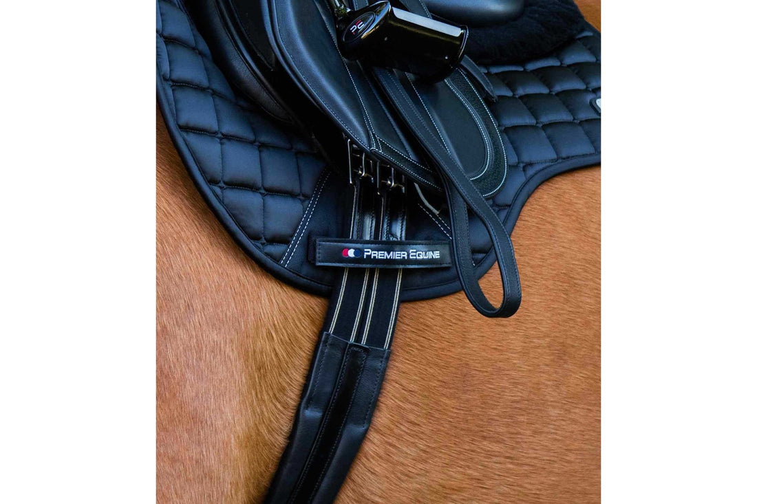 Premier Equine Rapone Leather Girth