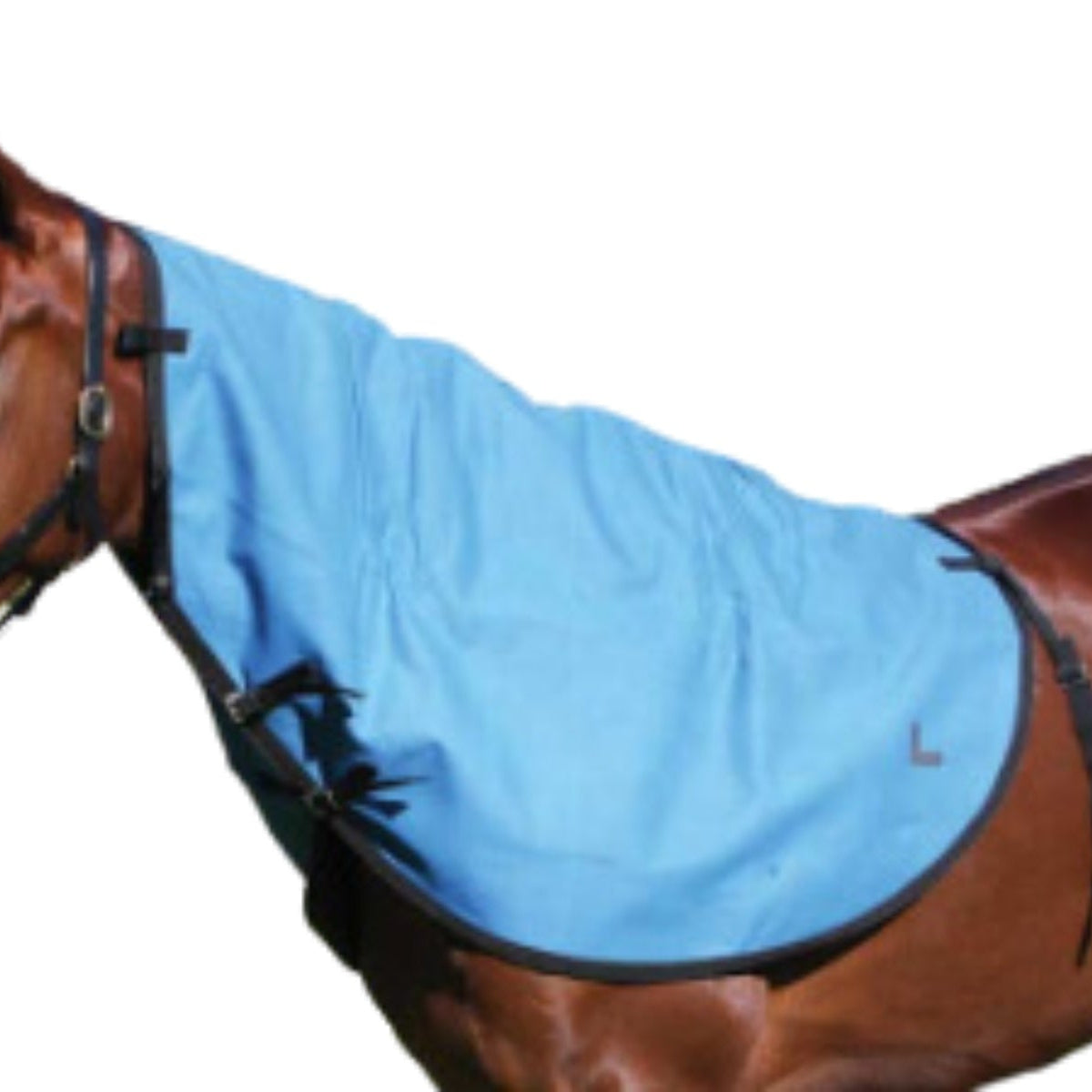Ram Rips Rug Rip Protector Neck Rug – NZ Tack Saddlery Co
