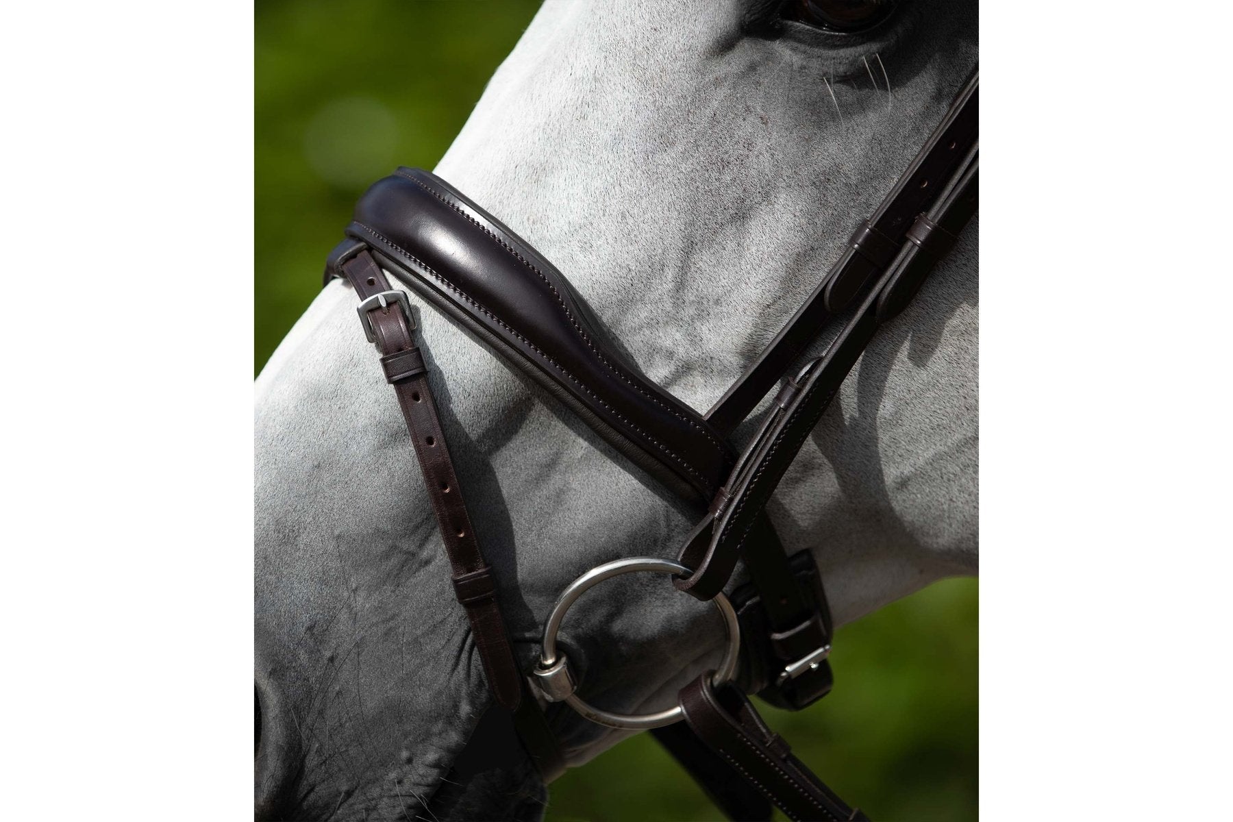 PE Rizzo Anatomic Snaffle Bridle with Flash