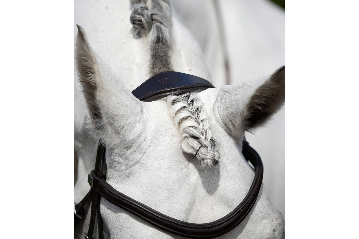 PE Rizzo Anatomic Snaffle Bridle with Flash