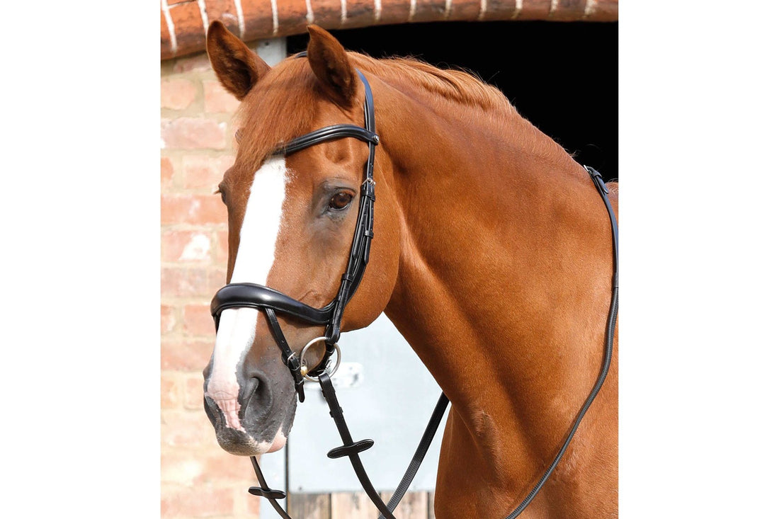 Description:Savuto Anatomic Bridle with Crank Noseband &amp; Flash_Colour:Black_Position:1