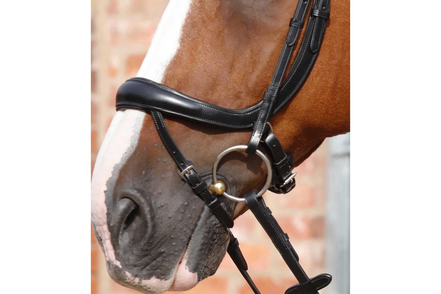 Premier Equine Savuto Anatomic Bridle with Crank Noseband &amp; Flash