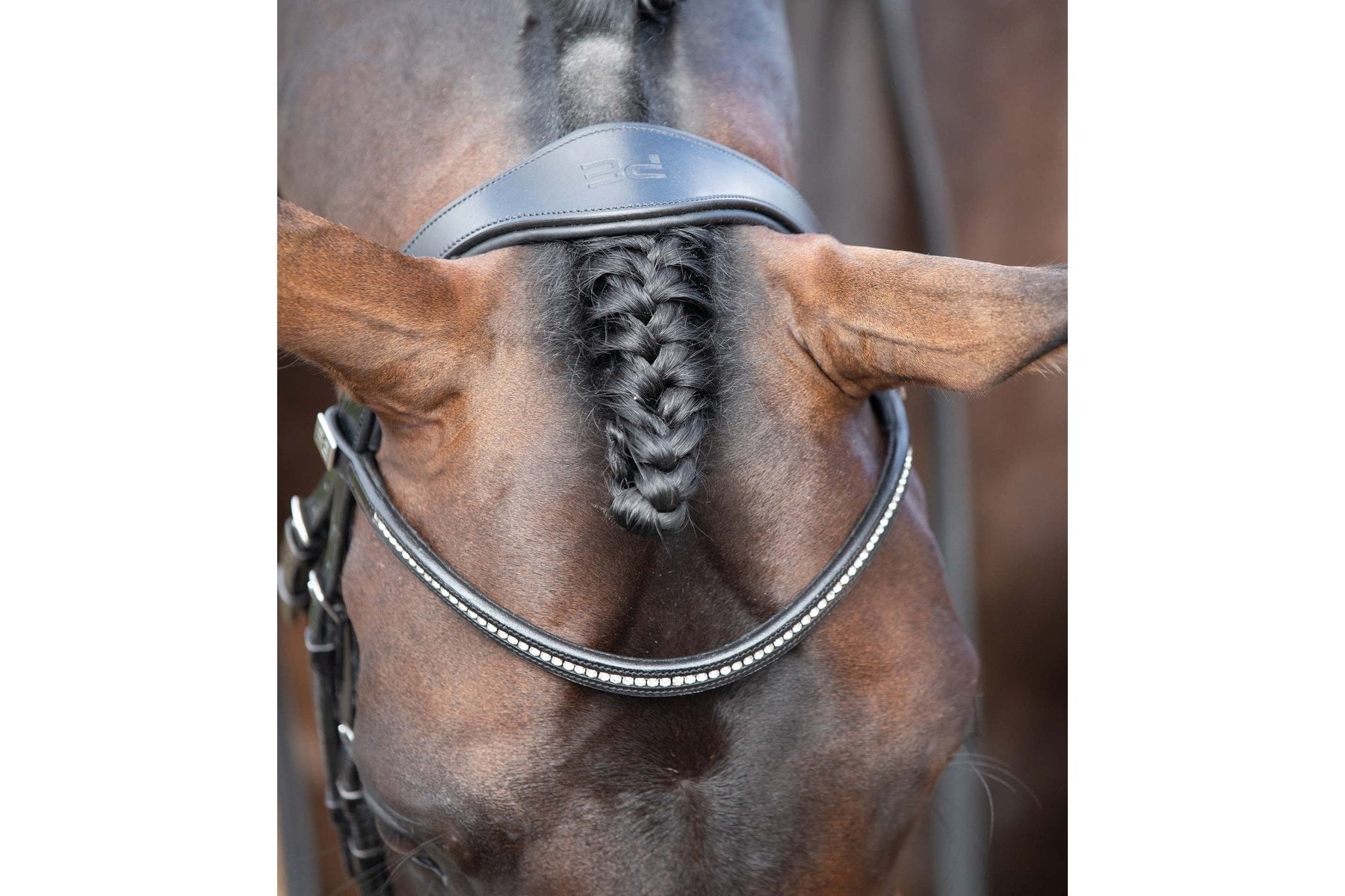 Premier Equine Stellazio Anatomic Snaffle Bridle with Flash