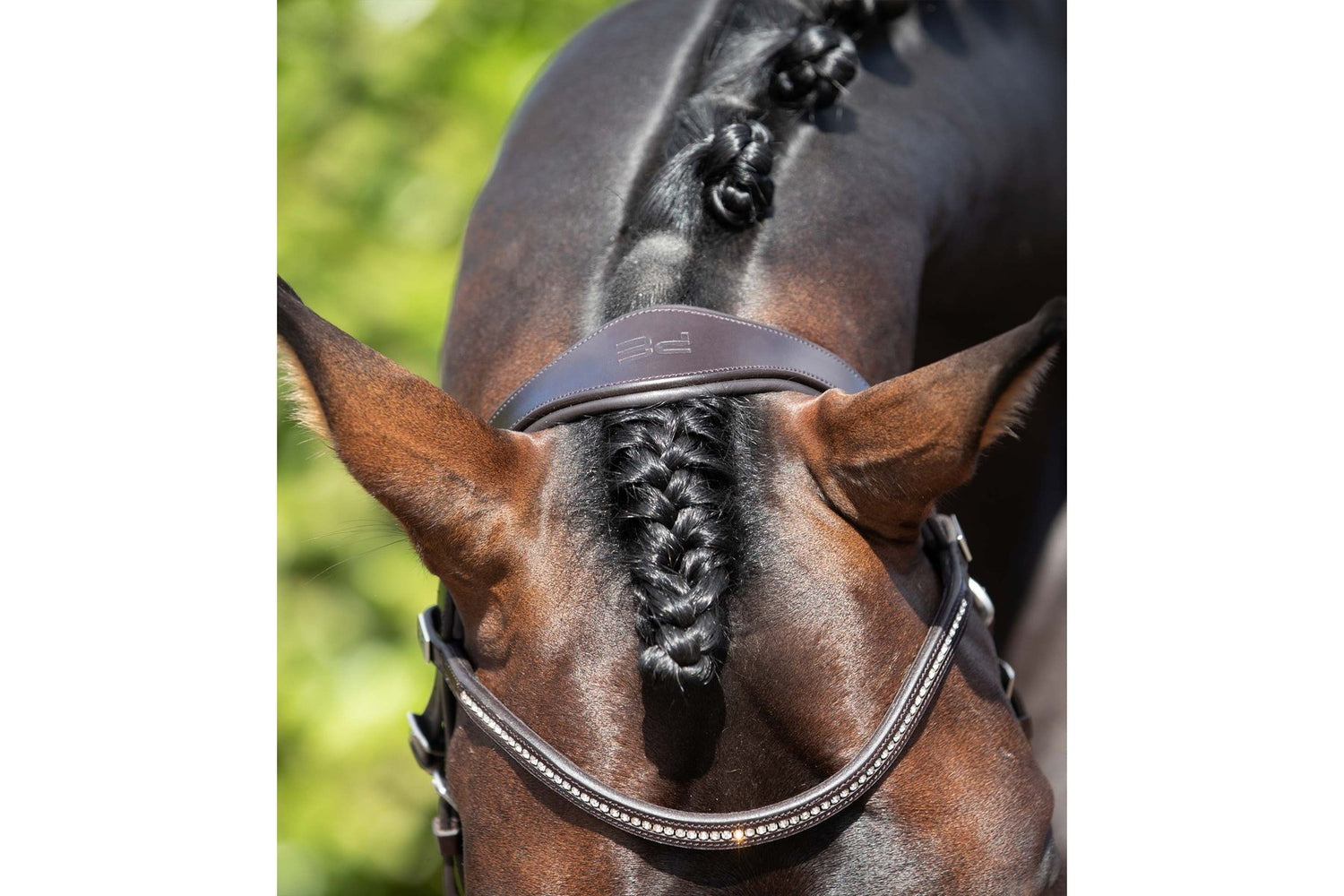 Premier Equine Stellazio Anatomic Snaffle Bridle with Flash