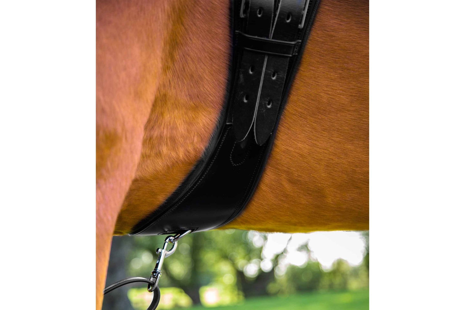 Premier Equine Tamarro Anatomic Leather Girth