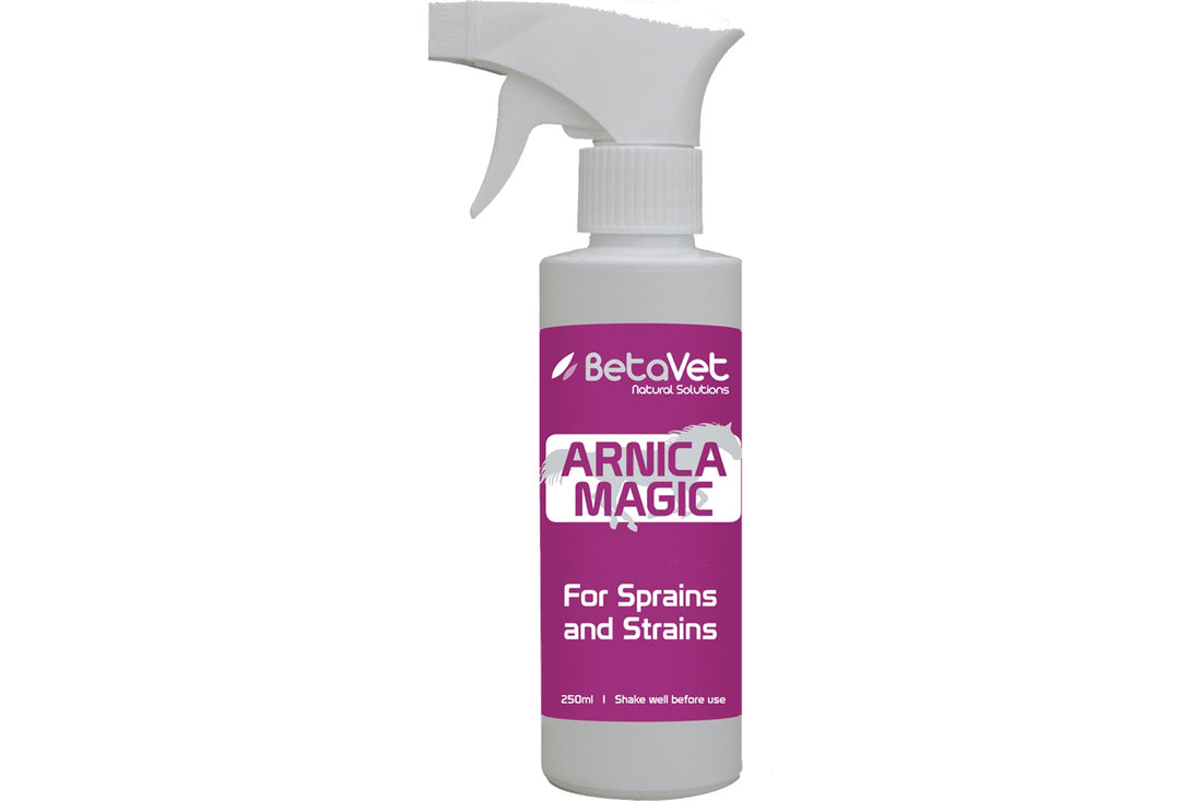 BetaVet Arnica Magic - 250ml