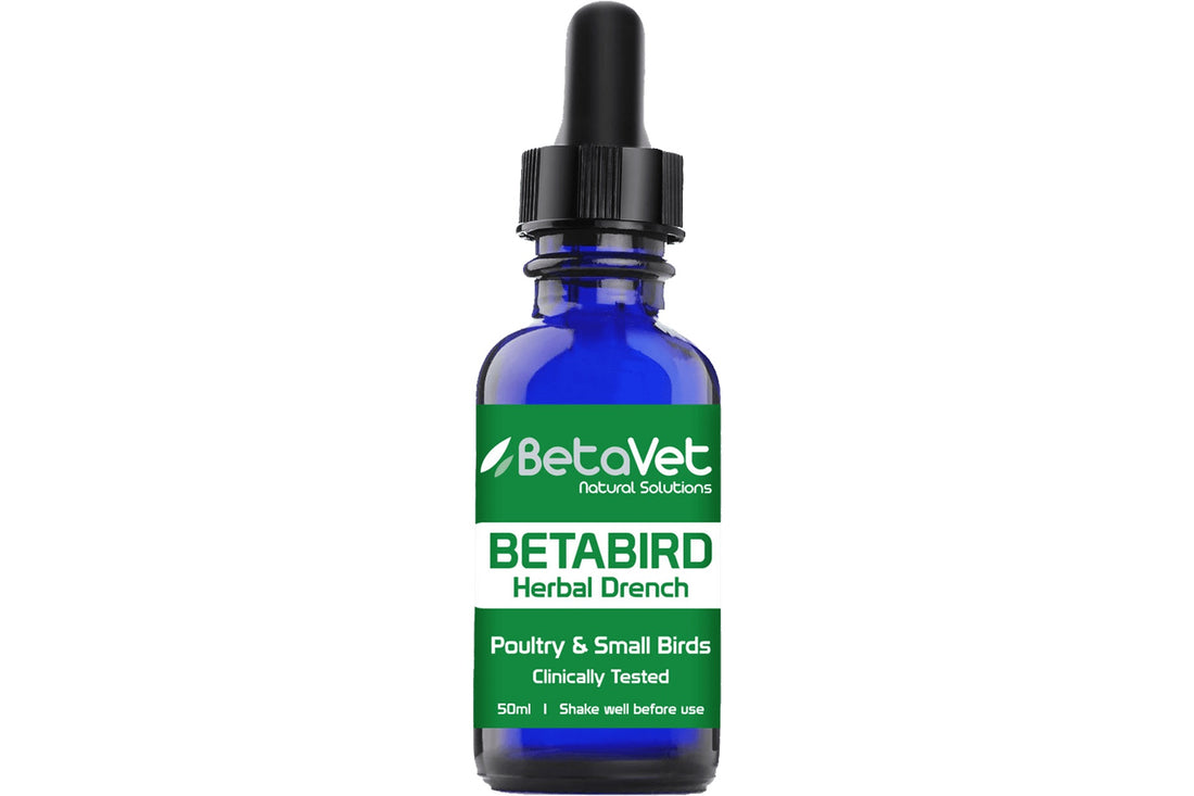 BetaVet Betabird - 50ml