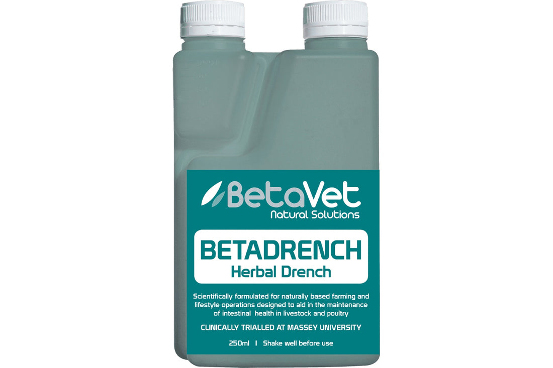 BetaVet Betadrench - 250ml