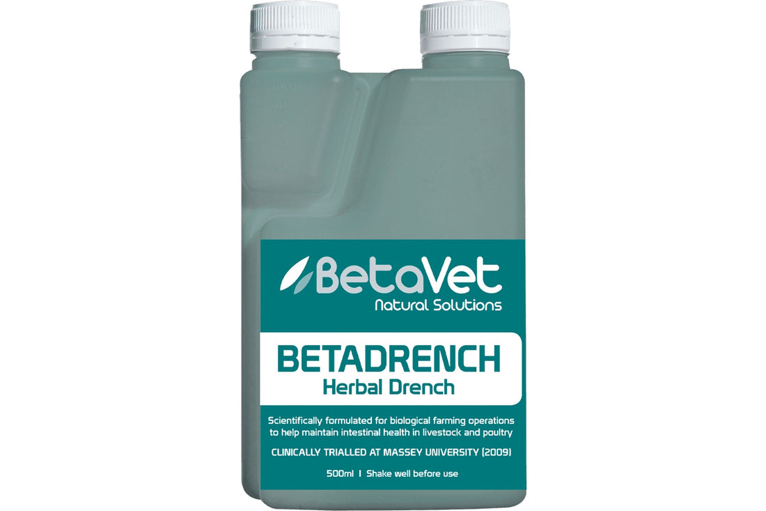 BetaVet Betadrench - 500ml
