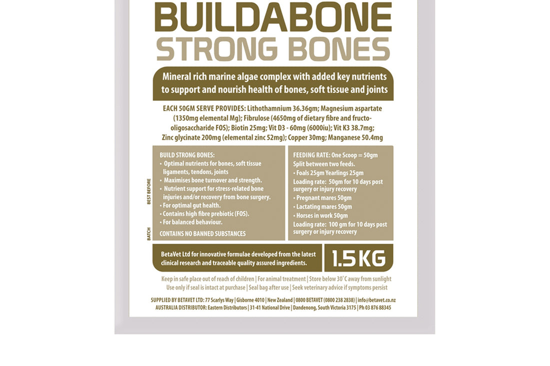 BetaVet Buildabone - 1.5kg