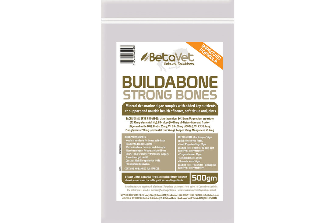BetaVet Buildabone - 500gm