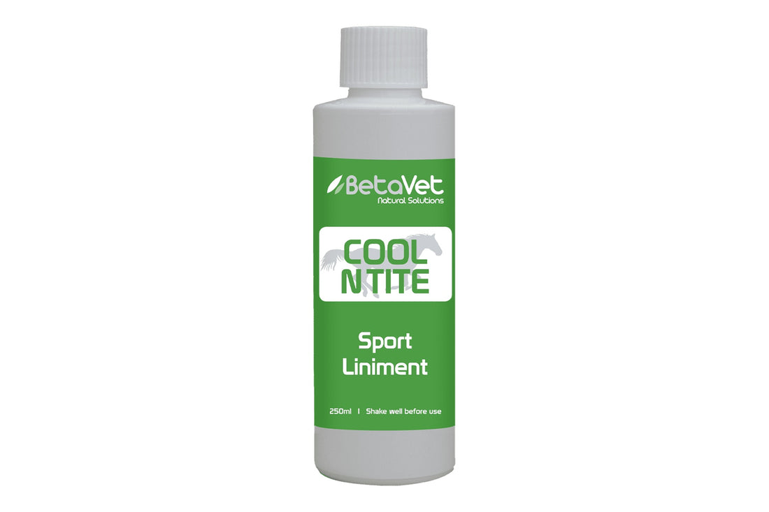BetaVet Cool N Tite - 250ml