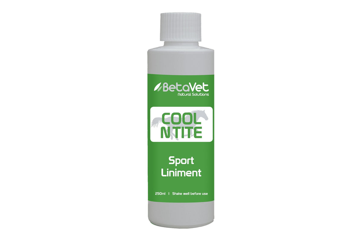 BetaVet Cool N Tite - 250ml